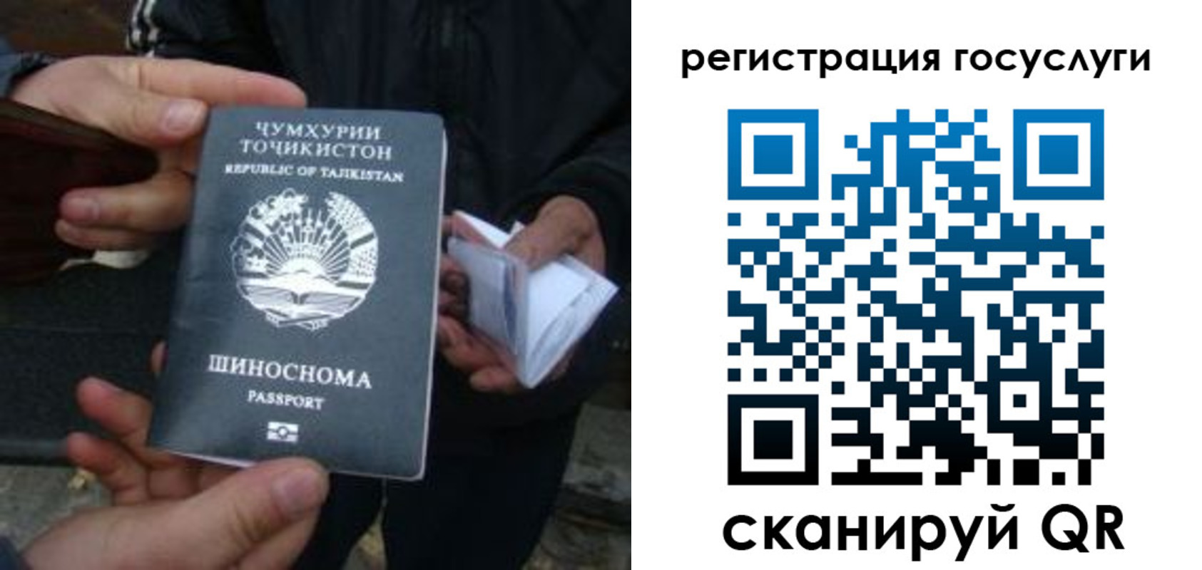 прописка регистрация в Рошале
